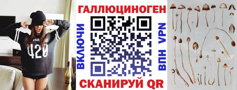 Псилоцибиновые грибы Cubensis  Купить  Иркутск 